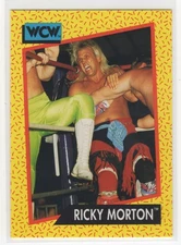 1991 Impel WCW Ricky Morton #101