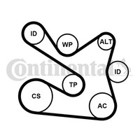 1X Continental Ctam 7PK1605K1 Keilrippenriemensatz FüR Renault Dacia