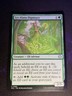 MTG * Lys Alana Dignitary Lorwyn Eclipsed * 1X * NM