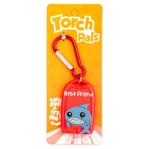 Kids Personalised Torch Keyring Novelty Mini LED Toy Light Carabiner Name Animal - Picture 28 of 370