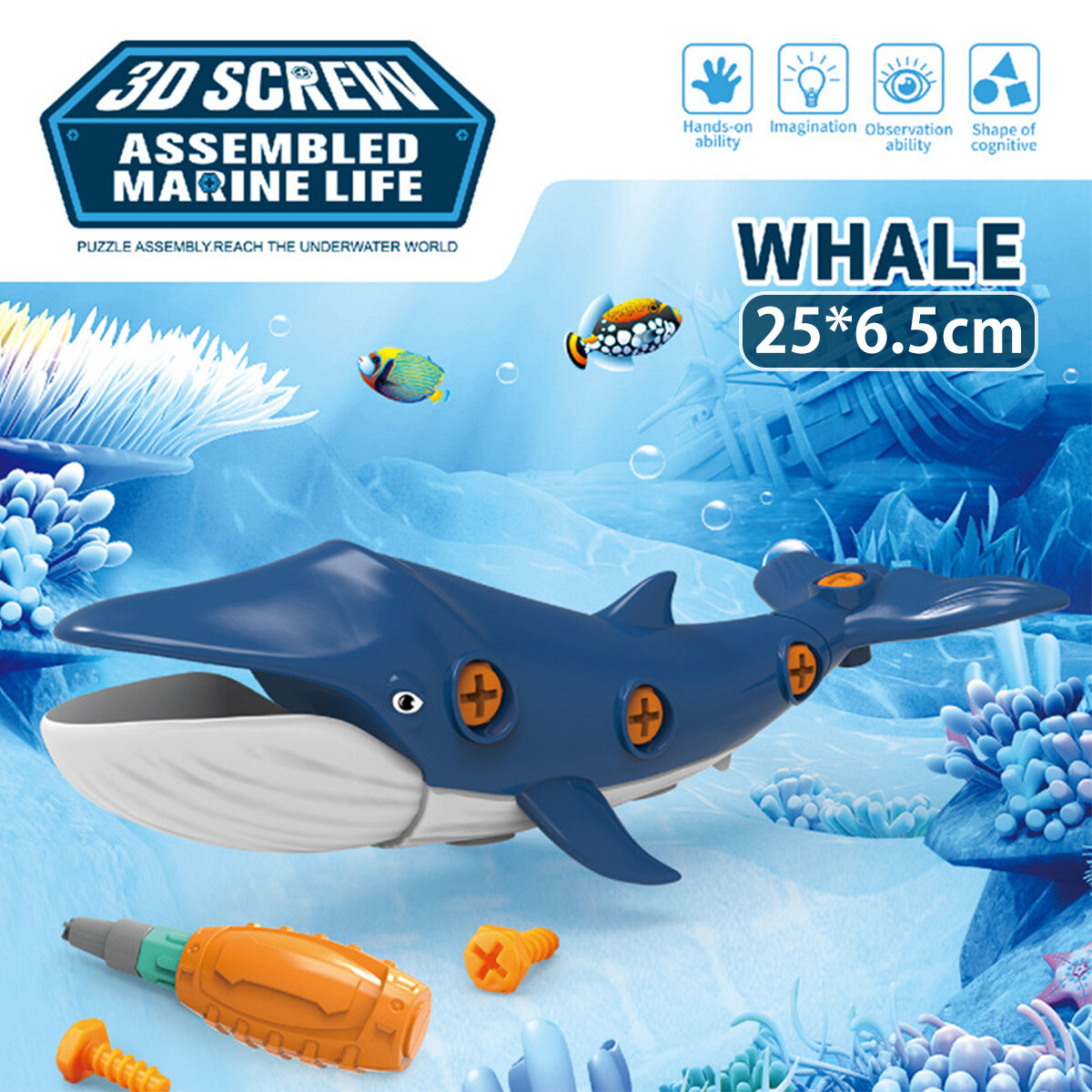 Assemble Marine Animal Toy for 4+ Years Old Kids Take Apart Marine