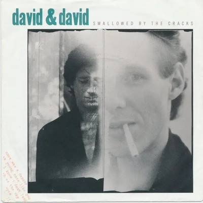 David + David Swallowed By The Cracks Vinyl Single 7inch NEAR MINT A&M Record