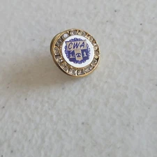 Vintage Lapel Pin CWA Communication Workers of America Union Rhinestone
