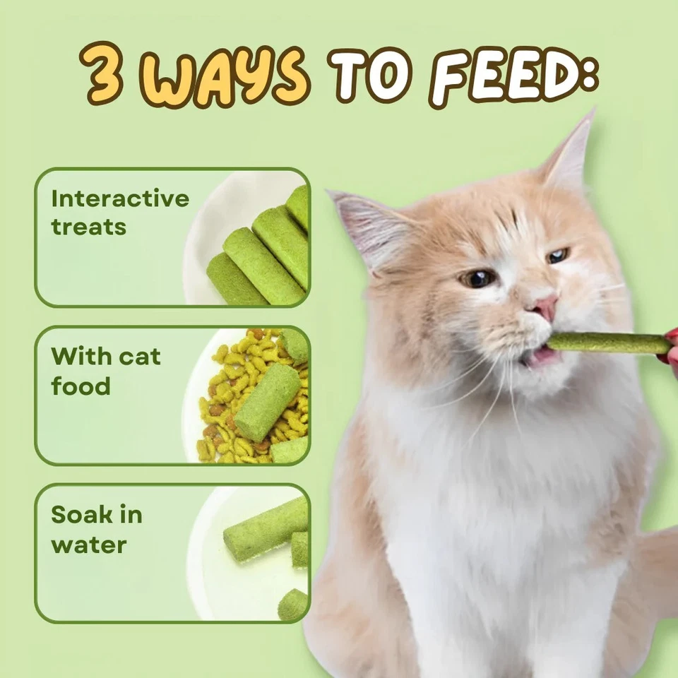 Cat Grass Teething Stick for Cats, Natural Freeze Dried Dental Treats - Image 2 of 4
