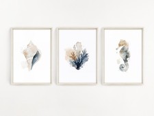 Coastal bathroom wall prints, watercolour sea shells wall decor, nautical art