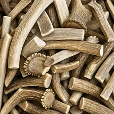 Bulk  Antler Dog Chews - Sun Aged B/C Grade  - By the Pound - 4 to 5 Antlers