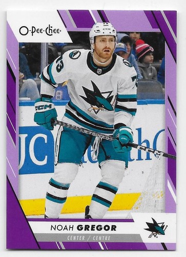 23/24 O-PEE-CHEE PURPLE BORDER PARALLEL Hockey /49 (#1-600) U-Pick From List - Picture 18 of 34
