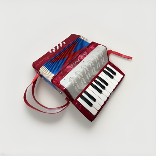 Accordéon de démarrage enfant prodige