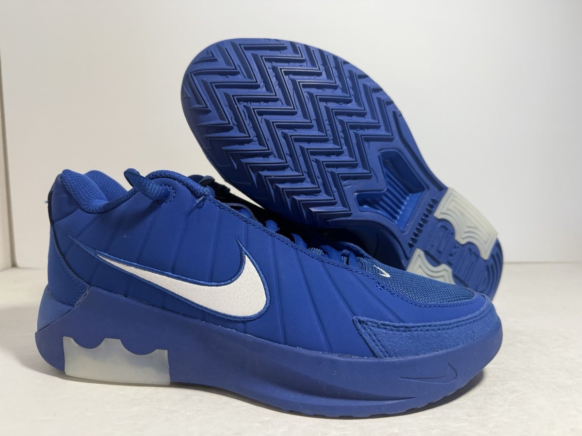 Nike Lebron Witness 9 Basketball Game Royal Blue White Men Size 7