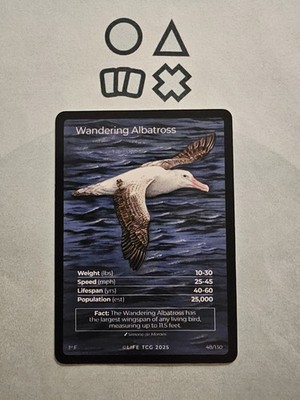 Wandering Albatross - Full Art 1st Edition - Pop 25,000 Life TCG