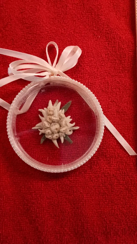 Flor Seca REAL Adorno Flor Edelweiss Redondo en Plástico Borde de Cuentas Redondas Foto 4 de 4