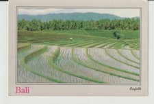 pc274 / INDONESIA, Bali