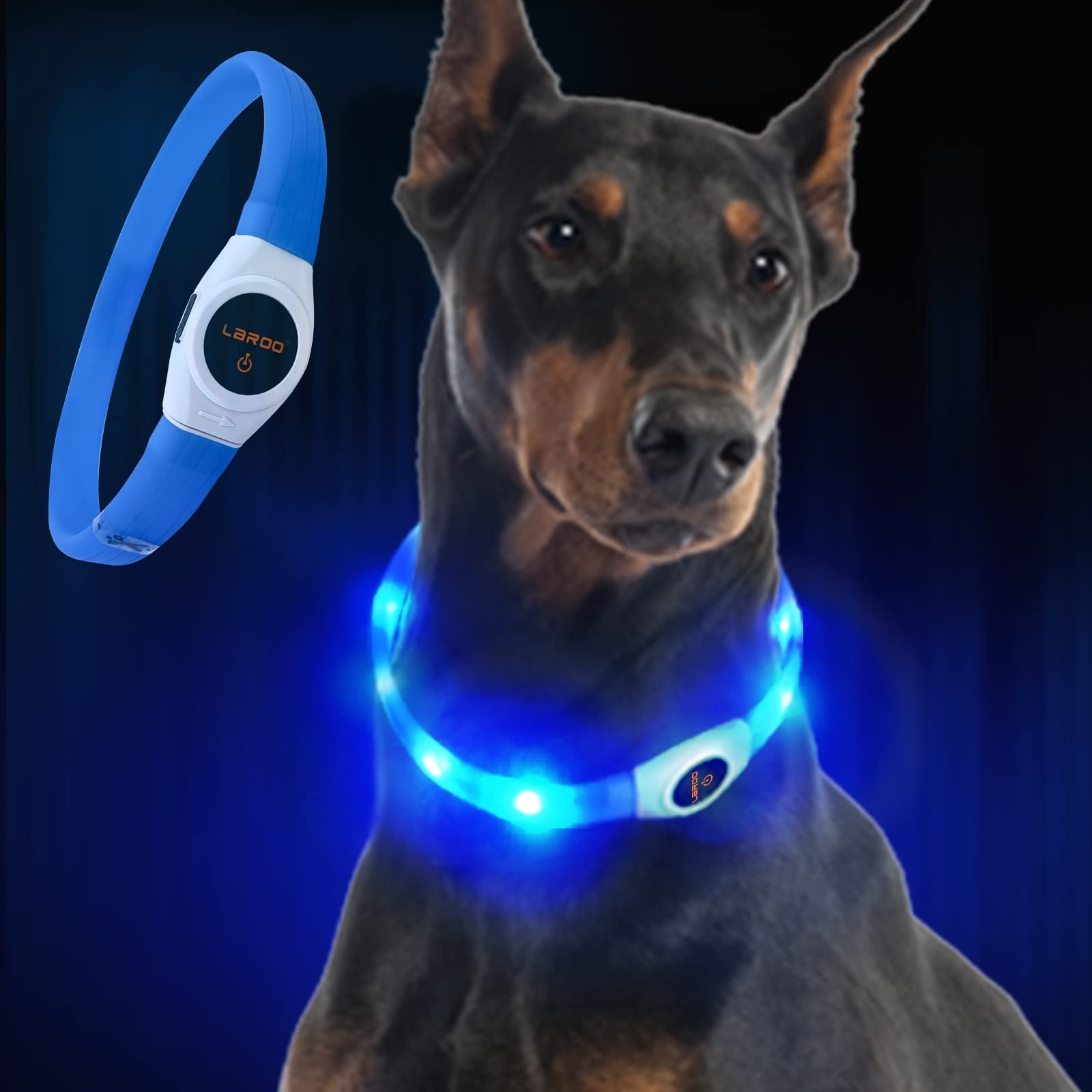 Collare Cane LED LaRoo: Attrezzatura da Trekking e Sicurezza Notturna
