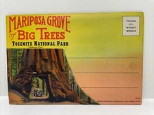 Mariposa Grove of Big Trees Yosemite California Postcard Booklet - 18 Photos