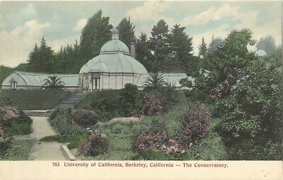 Postcard C-1910 California Berkeley University Conservatory #783 CA24-4256
