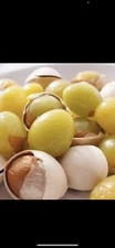 100% Organic Raw Ginkgo Nuts 2025 Harvest 2 Lbs