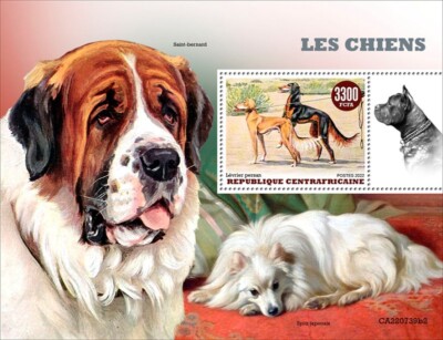 Egyptian Saluki Dog Race Hunting Saluki Store