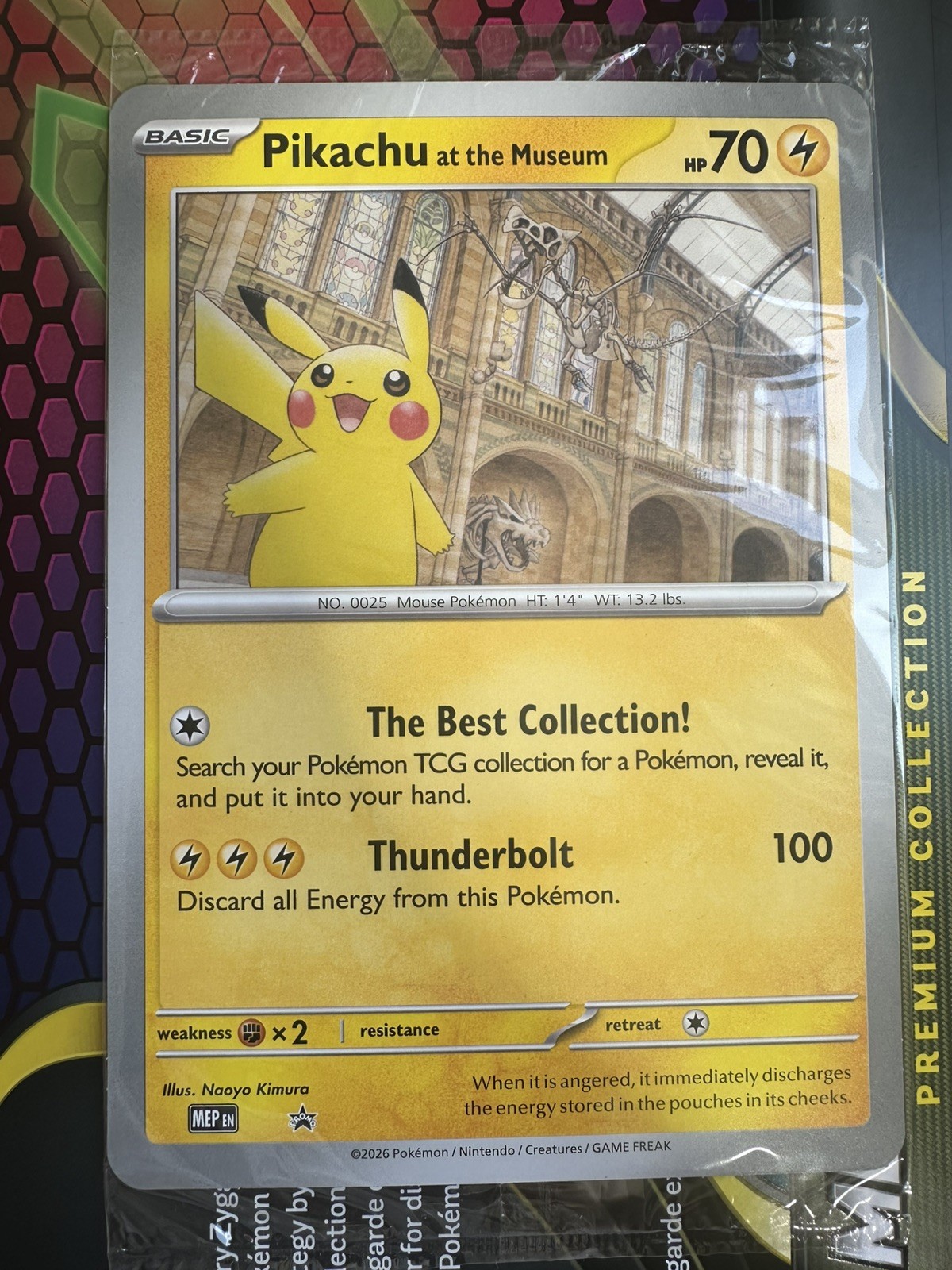 Pokemon Pikachu At The Museum Promo Card - SEALED