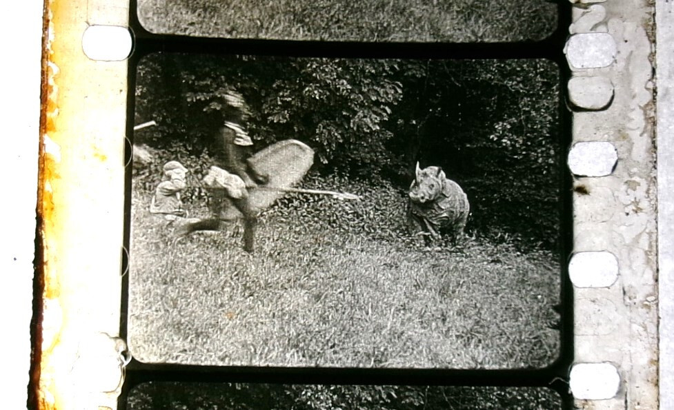 Picture 18 of 19