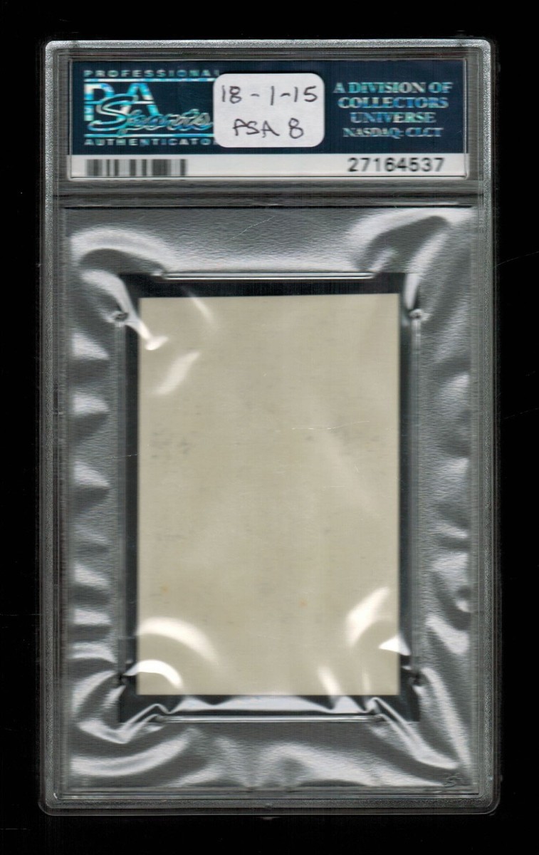 Angry Maple 英語 PSA8 Angry Maple 英語 PSA8 Raging Bolt ex #95