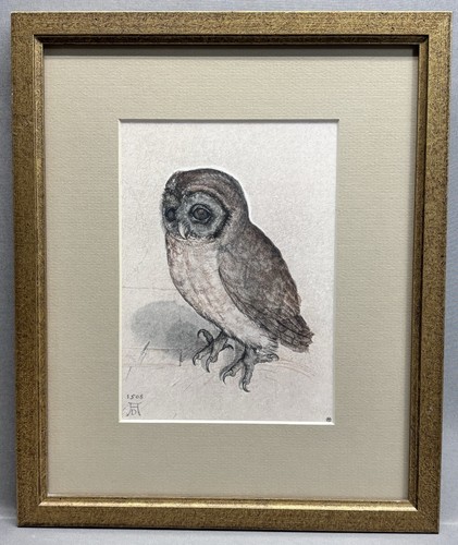After Albrecht Dürer Little Owl 1508 Framed Art Print 12.75 x 10.5