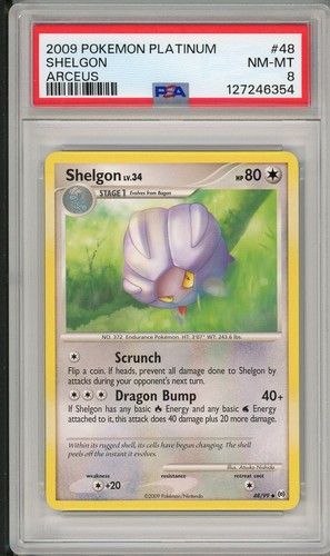 Shelgon graded PSA 8 for sale on eBay