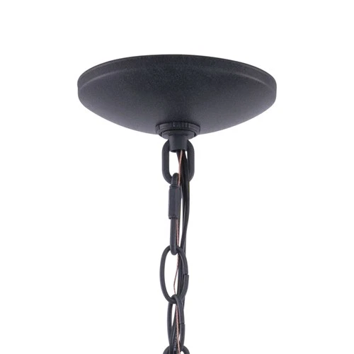 Vaxcel Lighting OD21506 Black Harwich 1-Light Outdoor Pendant - Picture 4 of 12