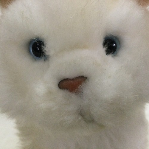 Ganz Webkinz Signature Series (Gold W) 9" White Persian Cat WKSS2003 Plush - Picture 2 of 13