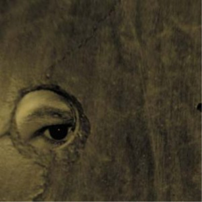 Boom Bip And Doseone Circle (CD) Album