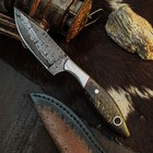 7.8" EDC Hunting Damascus Knife Handmade Tang Ram Horn Handle Leather Sheath — photo 5