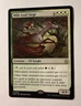 Wilt-Leaf Liege 0668 | Magic the Gathering MTG | Foundations | Rare | NM