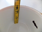 Picture 17 of 19