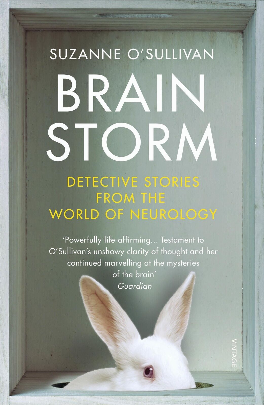 Thumbnail - Suzanne O'sullivan | Brainstorm | Taschenbuch | Englisch (2019)