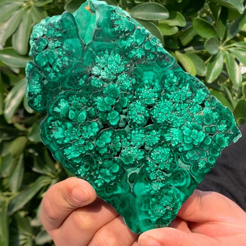 448G Natural Beauty Shiny Green BrightMalachite Fibre Crystal From China - 第 9/13 張圖片