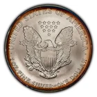 2005 1 oz Silver American Eagle - Fresh BU - Deep Colorful Rim Toning - SKU-E256