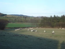 Photo 6x4 Farmland north of Bedstone From the lane looking north-east at  c2008
