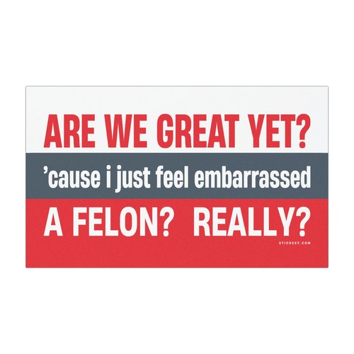 Are We Great Yet? cause i just feel embarrassed a felon? Really? Magnet Sticker - Picture 2 of 7