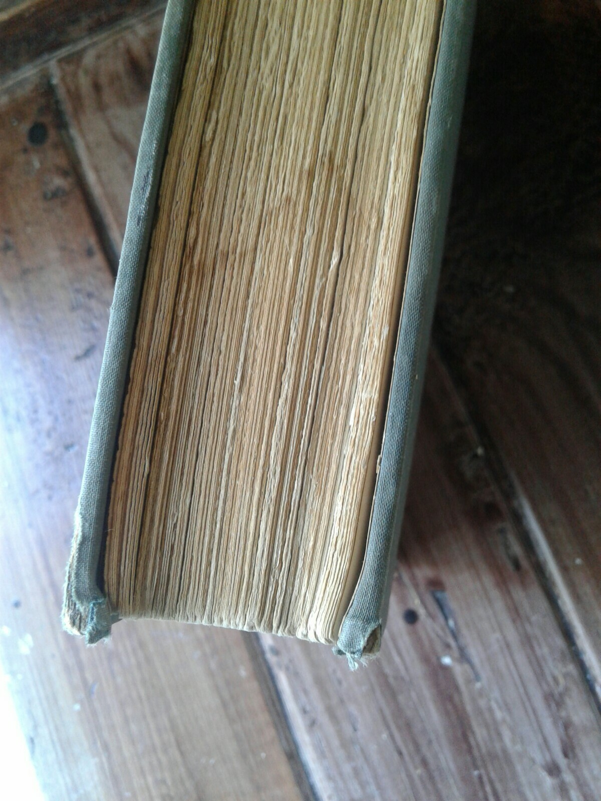 Bild 6 von 8