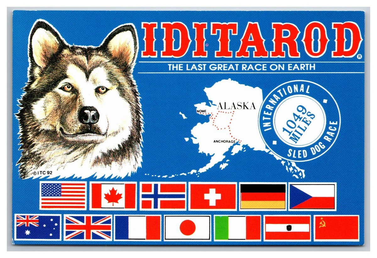 Alaska Iditarod Mushing Dog Sled Race International Flags 6x4 Size