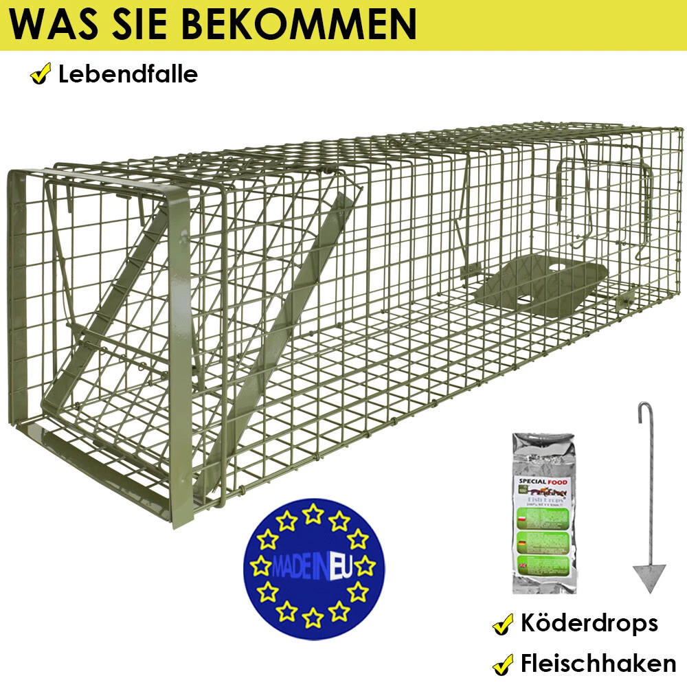 Bild 5 von 6