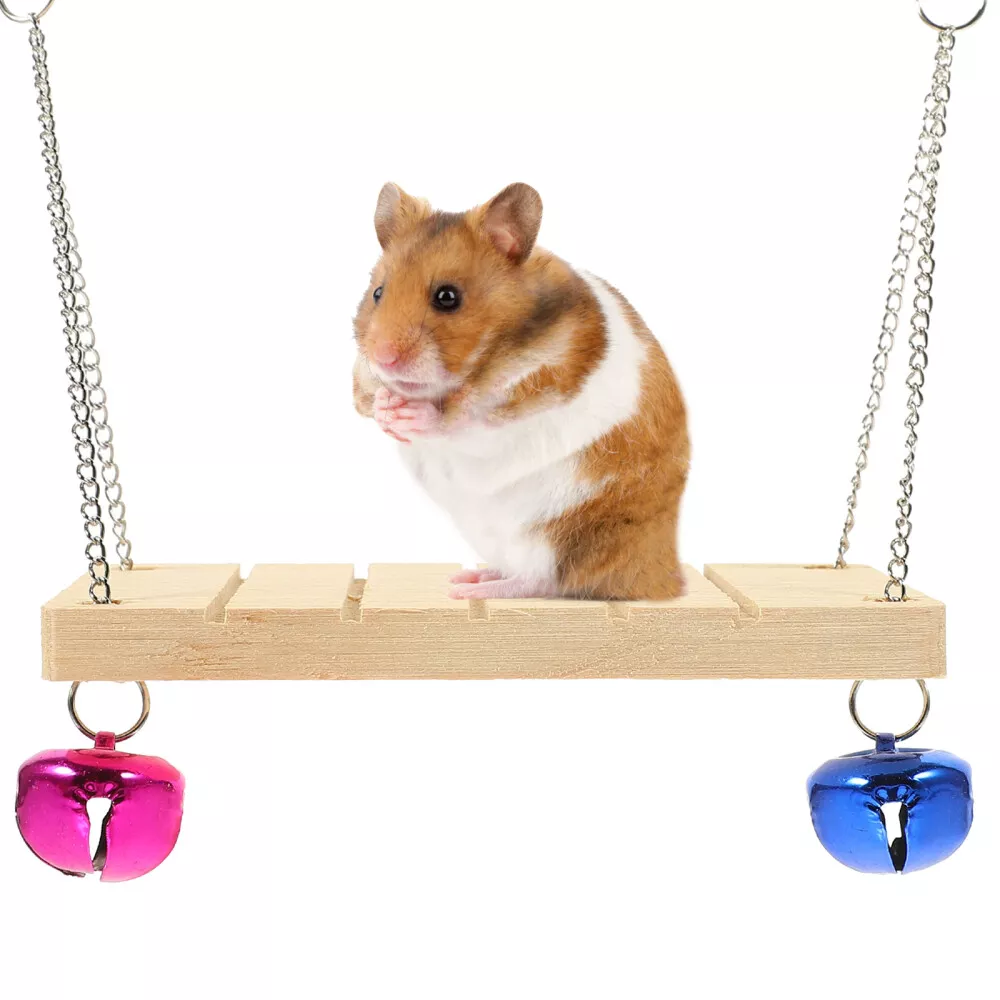 These 6 Tips Will Prolong Your Hamster's Life