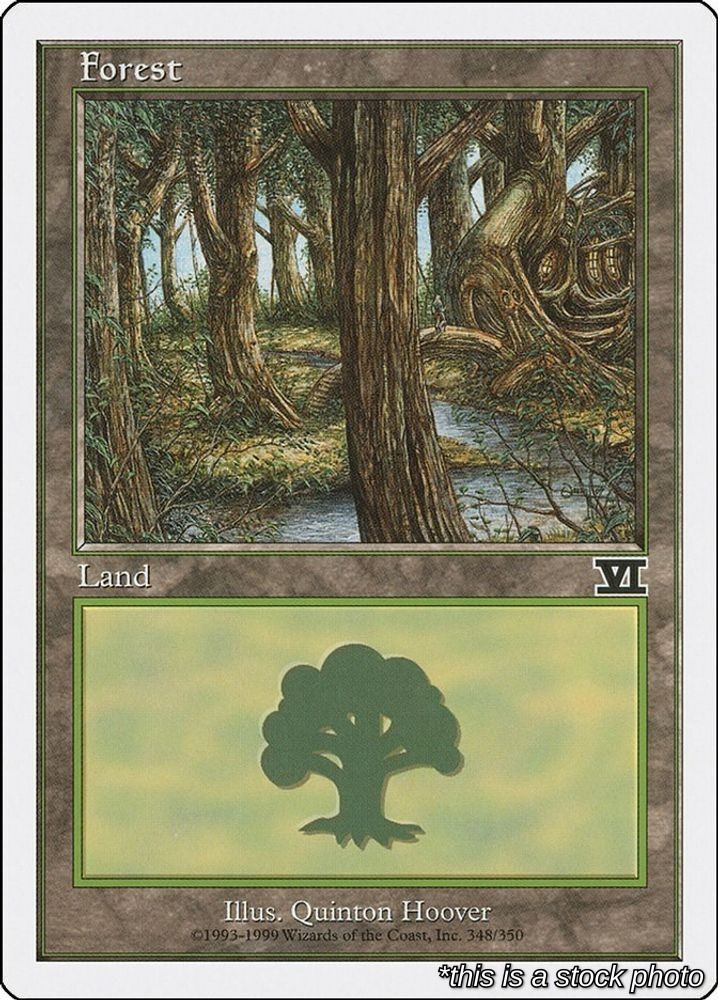 Forest [6ED - 348] Lightly Played - Magic (MTG)