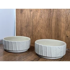 Whisker City Cat Kitty Food Bowl Ceramic Dish Set Pet Kitten Meow Basic