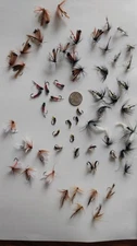 Trout Salmon Fly Fishing Flies 60 Pcs Lot
