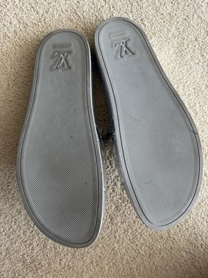 Louis Vuitton Waterfront Mule Chrome Mirror Silver LV Slide Sandal
