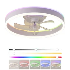 20" Ceiling Fan Light LED RGB Color White Fixture Kit with Remote & APP Control