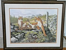 Ray Harm Wildlife Artist Gallery Framed Mountain Lion Signed Print 37" x 31" EUC
