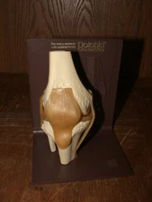 medical model human knee bone merck MSD w/ stand pharmaceutical anatomy display
