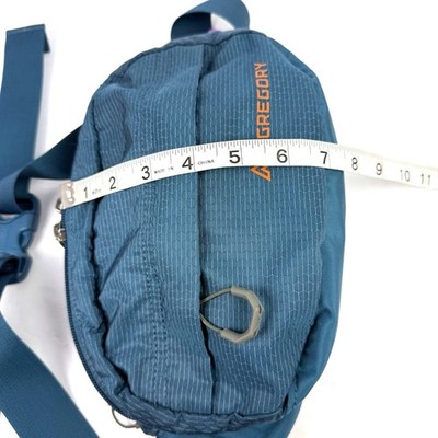 Gregory Nano Waist Pack Belt Bag Colorful Crossbody 4L Large  display picture 2