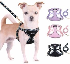 XXS , Breathable Adjustable Pet Harness with Dog Leash for Small Dogs Blac